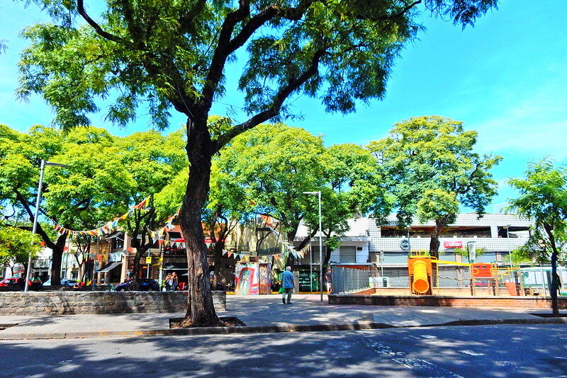 Cómo llegar a Plaza Serrano en Subte